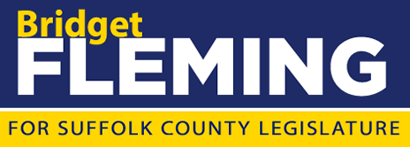 Fleming for Legislature logo